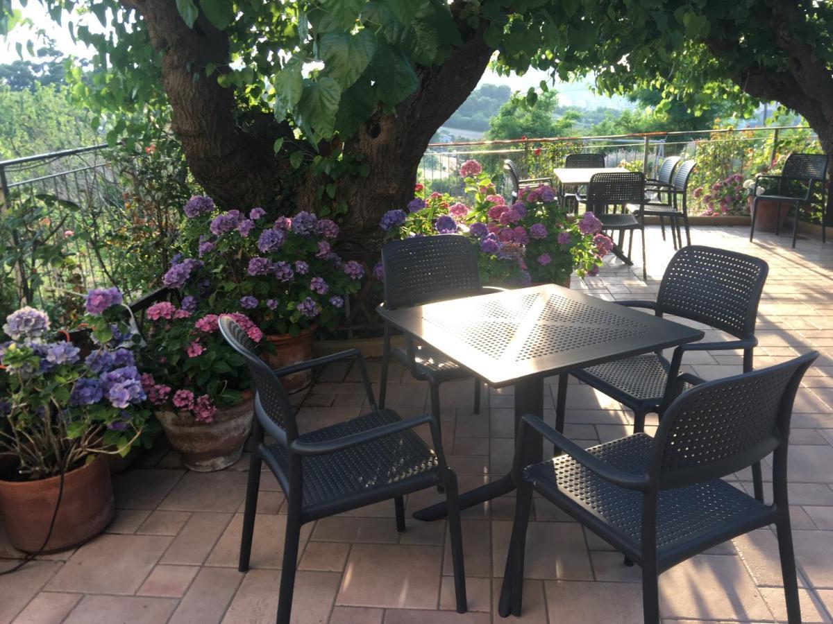 La Casa Sul Golfo Bed and Breakfast Ancona Exteriör bild